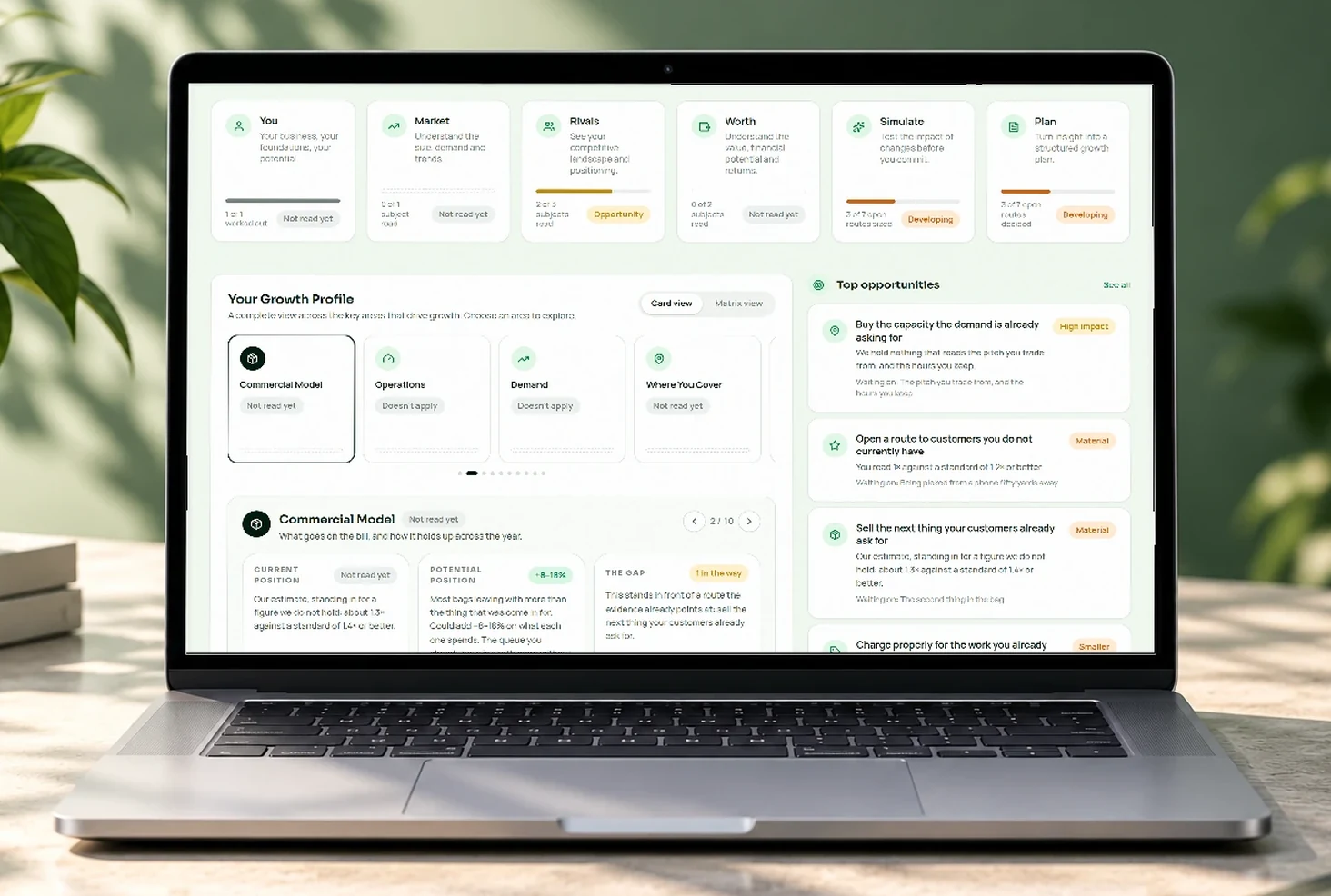 The Synergy portal on a worked example: the growth plan, what each part of the business reads, and what is worth doing next